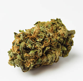 Botão de canábis Lemon Haze